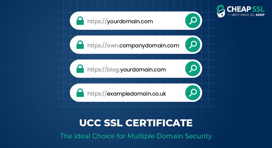 UCC SSL Certificate: The Ideal Choice for Multiple Domain Security