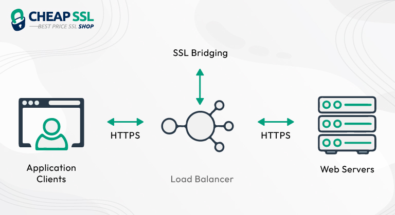 SSL Bridging