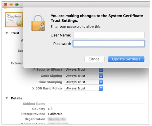 Trusted certificate by double-clicking on the SSL certificate