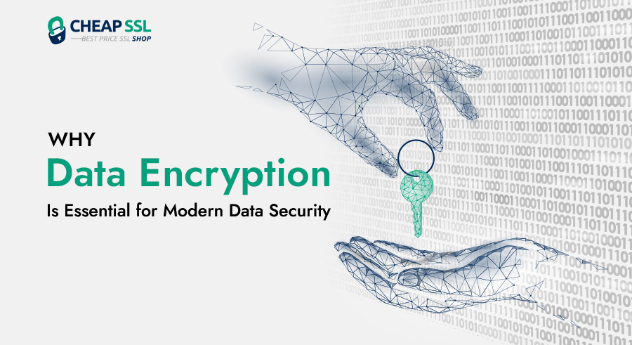 Definitive Guide on Data Encryption