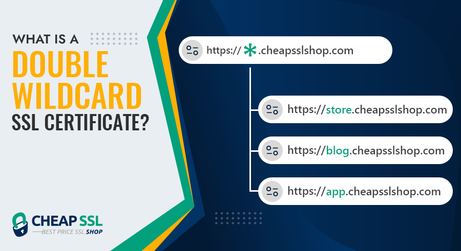 What is a Double Wildcard SSL Certificate? How it Differs from a Standard Wildcard SSL?
