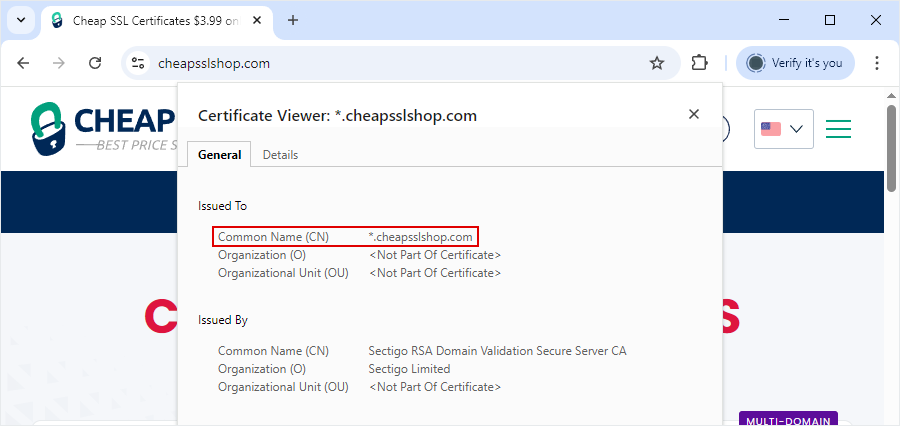 Wildcard SSL Certificate