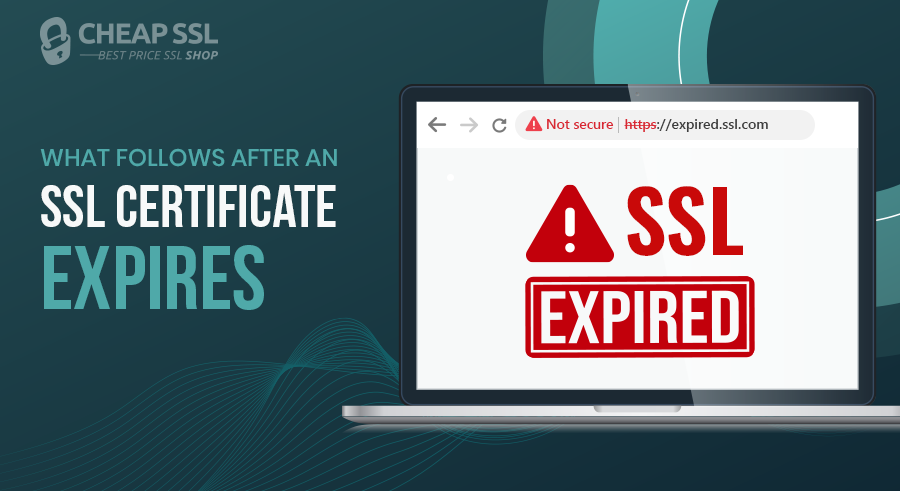 What Happens If You Don’t Renew SSL on Time