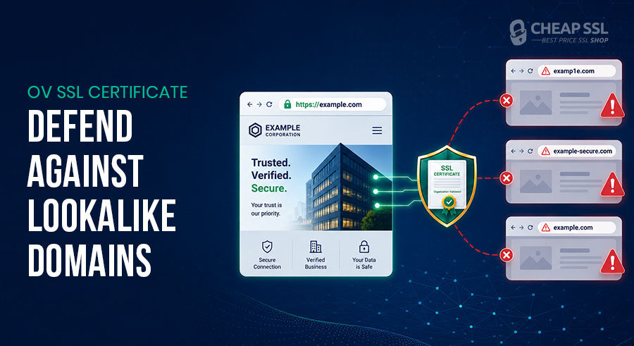 How OV SSL Protects Your Brand from Lookalike Phishing Domains?